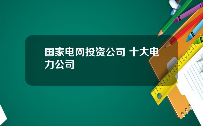 国家电网投资公司 十大电力公司